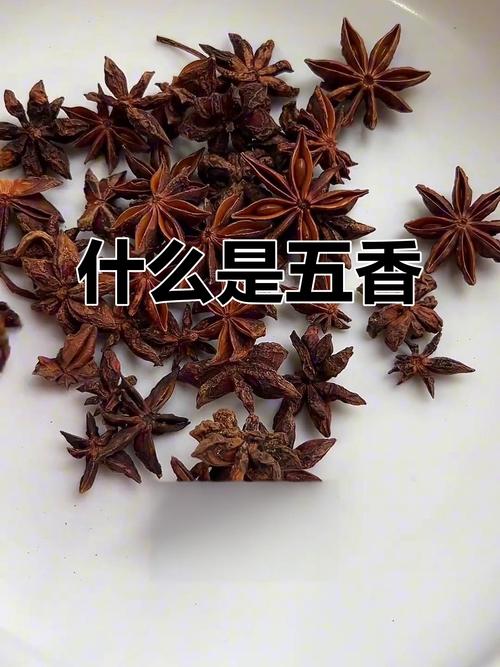 五香到底有哪些?原来这几种香料才是关键!